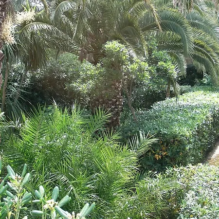 Il Pino Bed & Breakfast