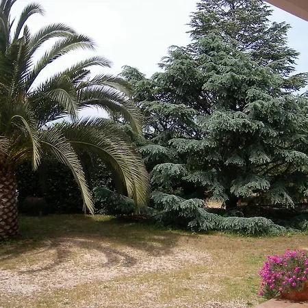 Bed & Breakfast Il Pino