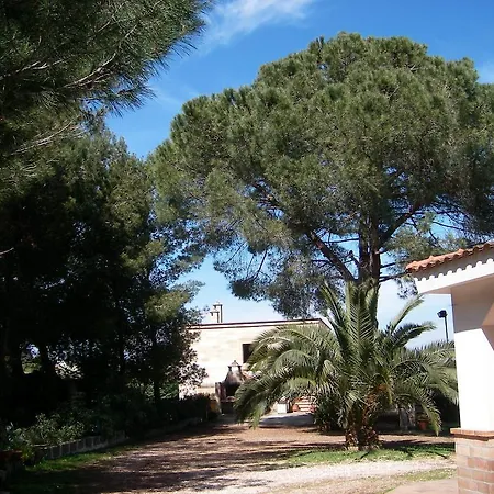Bed & Breakfast Il Pino